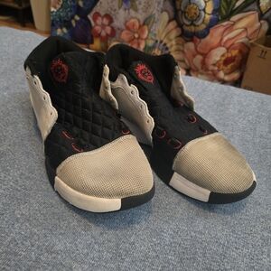 LBJ Witness Nike Black and Gray Sneakers